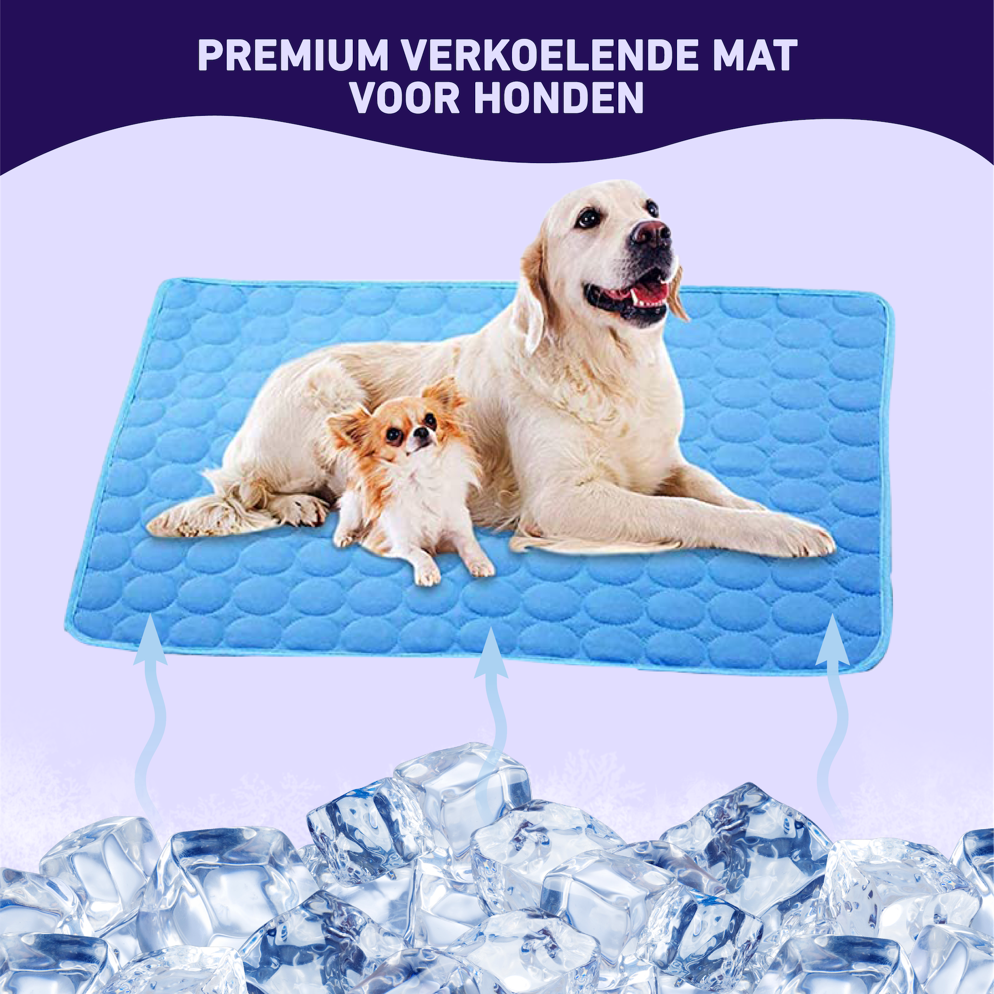 MagischePoten™ Premium Verkoelende Mat Voor Honden