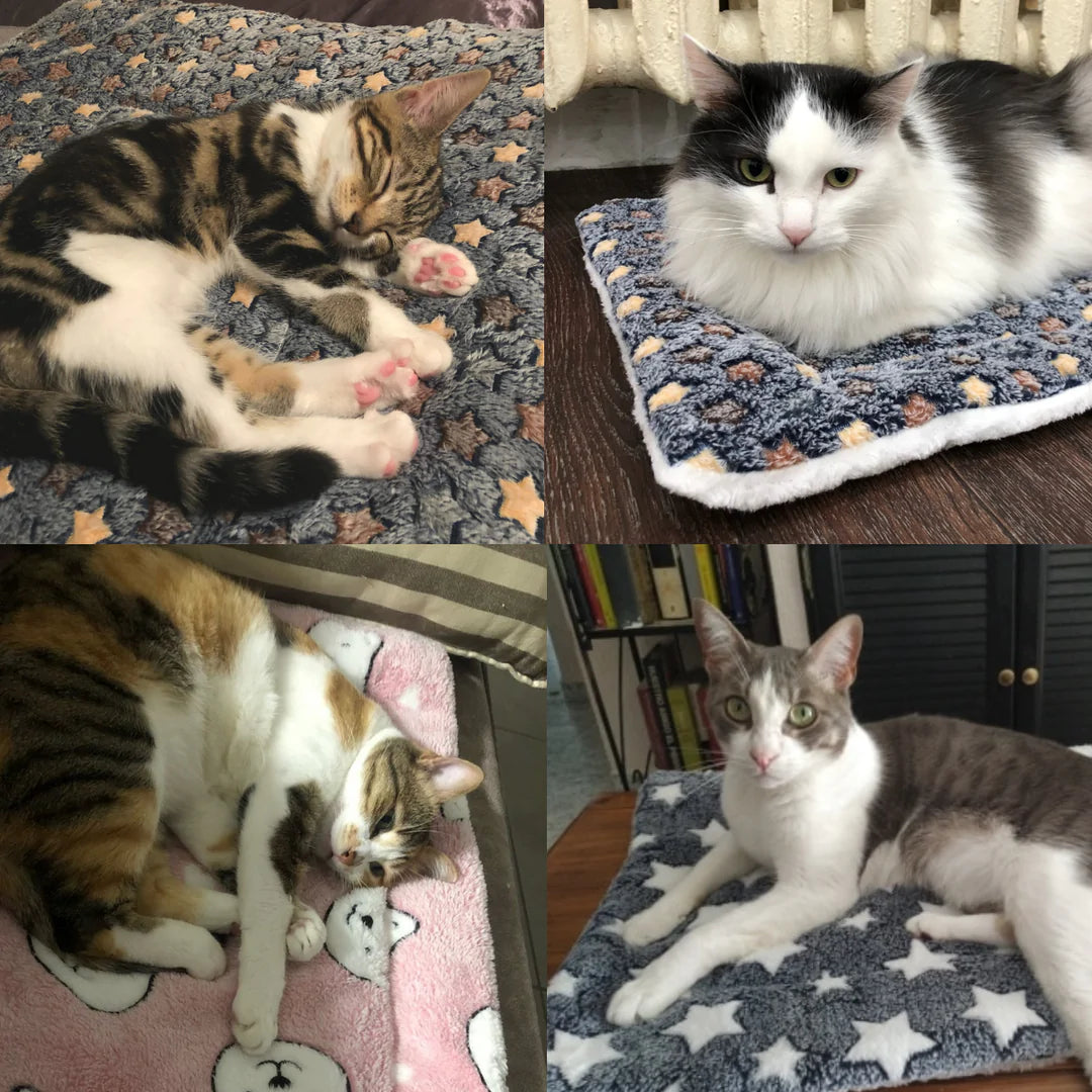 MagischePoten™ Knuffelig rustgevend katten deken